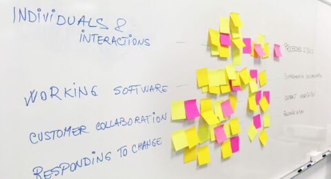 The Principles Behind Effective Software Testing