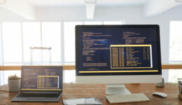 Software Programming Background
