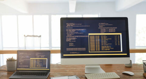 Software Programming Background