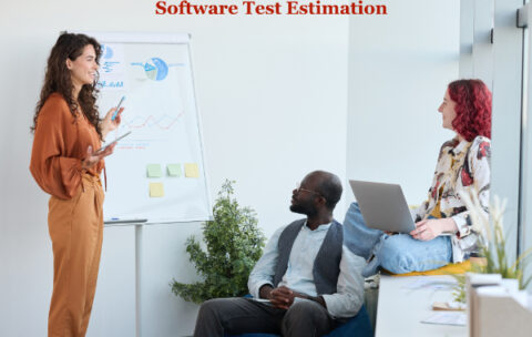Software Test Estimation